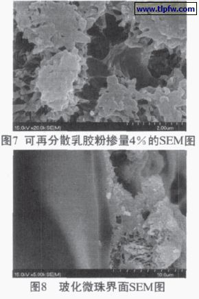 可再分散乳膠粉摻量百分之4的SEM圖